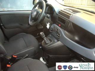 FIAT Panda usata, con Luci diurne
