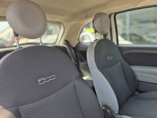 FIAT 500 usata 8