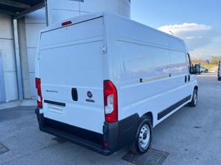 FIAT Ducato usata, con Servosterzo
