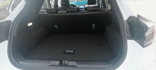 FORD Puma usata, con Fendinebbia