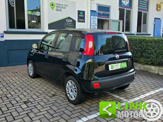 FIAT Panda usata, con Alzacristalli elettrici