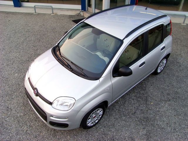 FIAT Panda usata 36