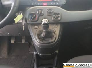 FIAT Panda usata 15