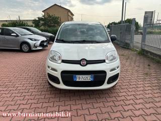 FIAT Panda usata, con Airbag