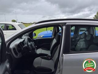 FIAT Panda usata, con Controllo trazione