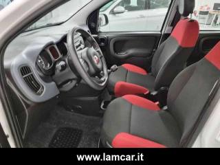 FIAT Panda usata, con Servosterzo