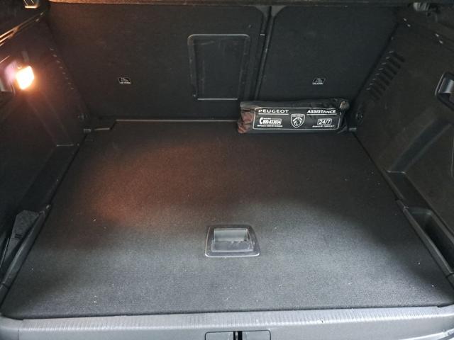 PEUGEOT 3008 usata, con Autoradio