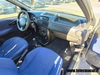 FIAT Punto usata 11