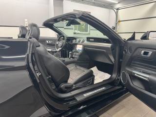 FORD Mustang usata, con Fendinebbia