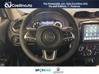 JEEP Renegade usata, con ESP
