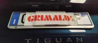 VOLKSWAGEN Tiguan usata, con ESP