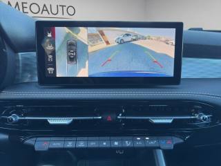 ALFA ROMEO Tonale usata, con Vetri oscurati