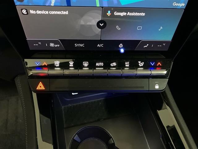 RENAULT Austral usata, con Hill holder