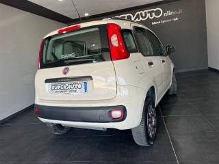 FIAT Panda usata, con Airbag Passeggero