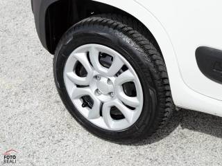 FIAT Panda usata, con Start/Stop Automatico