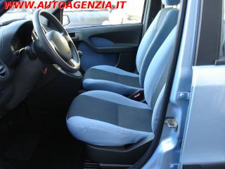 FIAT Panda usata 6