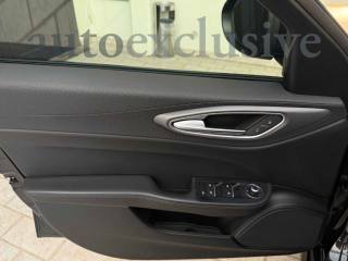 ALFA ROMEO Giulia usata, con Immobilizzatore elettronico