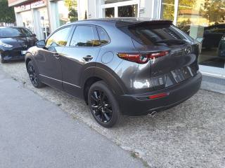 MAZDA CX-30 usata, con Specchietti laterali elettrici