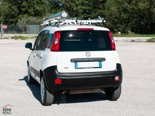 FIAT Panda usata, con Trazione integrale