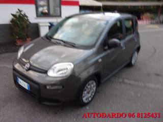 FIAT Panda usata, con Chiusura centralizzata