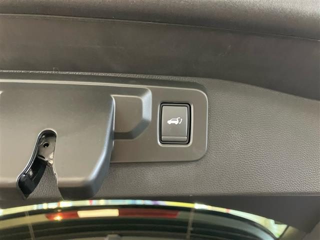 RENAULT Austral usata 23