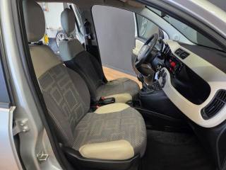 FIAT Panda usata 15
