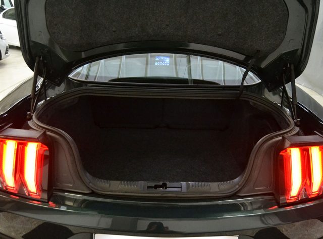 FORD Mustang usata, con Controllo automatico clima