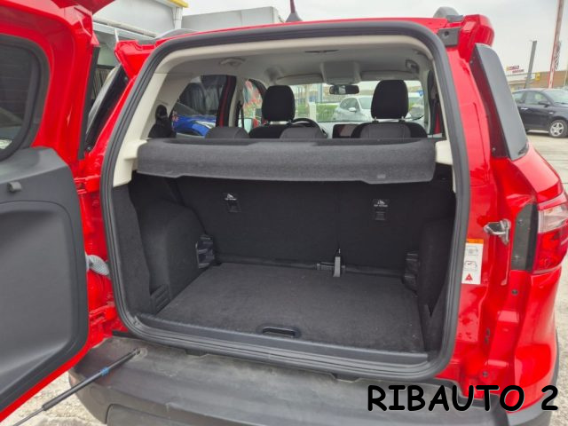 FORD EcoSport usata, con Fendinebbia