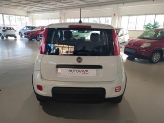 FIAT Panda usata, con Antifurto