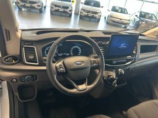 FORD Transit usata, con Fendinebbia