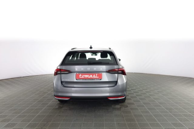 SKODA Octavia usata 4