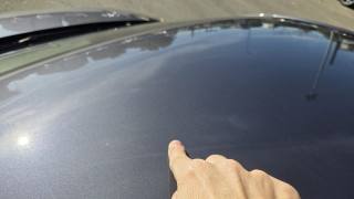 VOLKSWAGEN Polo usata, con Vivavoce