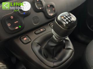 FIAT Panda Cross usata, con Airbag testa