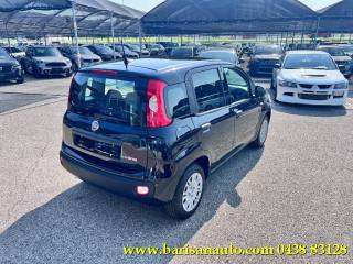 FIAT Panda usata, con Airbag Passeggero