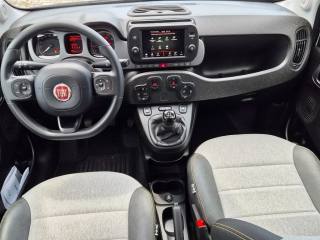 FIAT Panda Cross usata, con Servosterzo