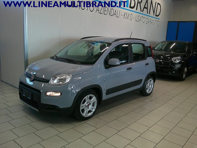 FIAT Panda usata, con Controllo trazione