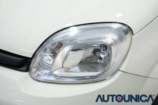 FIAT Panda usata 44