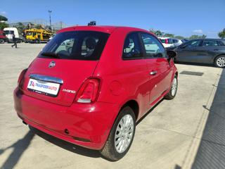 FIAT 500 usata, con Alzacristalli elettrici