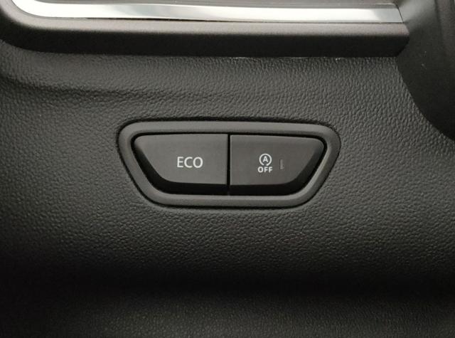 RENAULT Kadjar usata, con Controllo trazione
