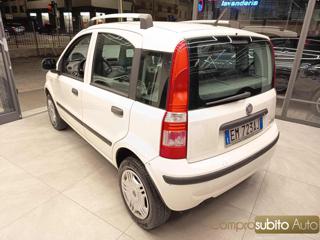 FIAT Panda usata 6