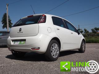 FIAT Punto usata, con Servosterzo