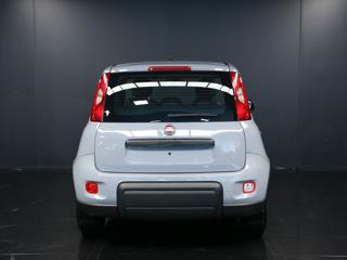 FIAT Panda usata, con Alzacristalli elettrici