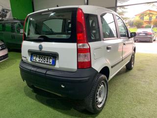 FIAT Panda usata 7