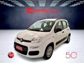 FIAT Panda usata 1