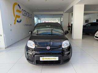 FIAT Panda usata, con Airbag
