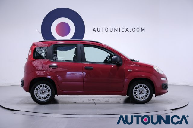 FIAT Panda usata, con Alzacristalli elettrici