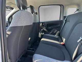 FIAT Panda usata, con Cronologia tagliandi