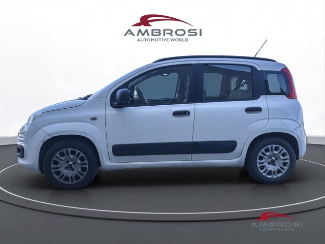 FIAT Panda usata 5