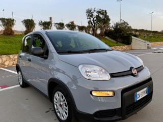 FIAT Panda usata 28