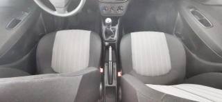 FIAT Punto usata 37